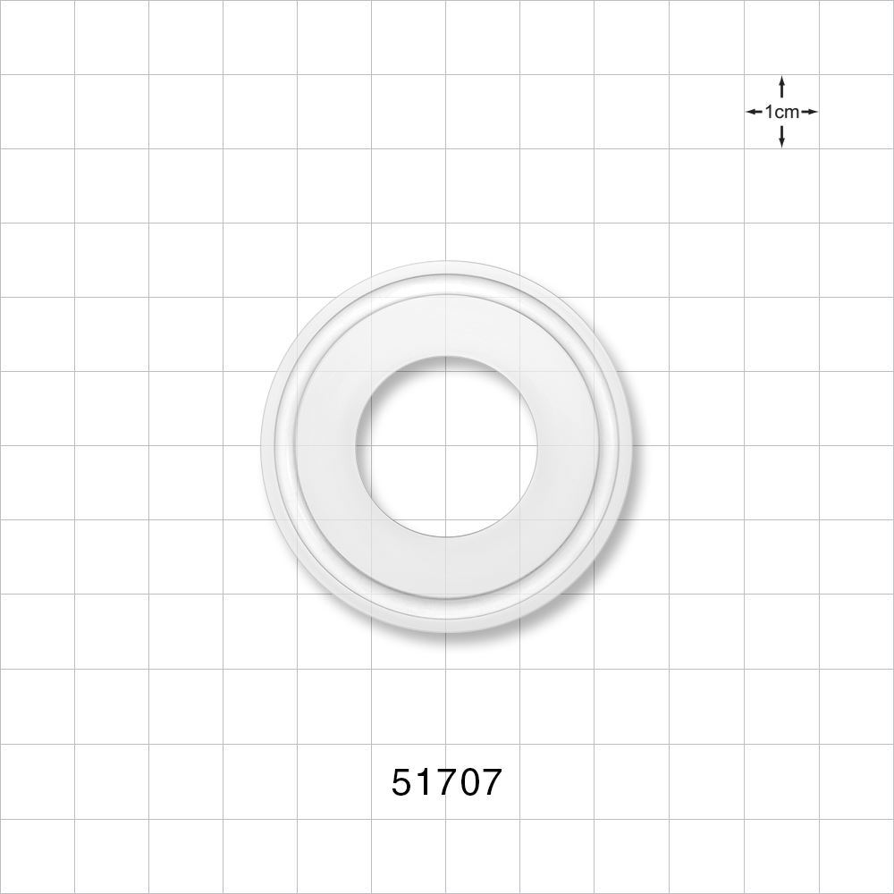 Sanitary Flange Gasket