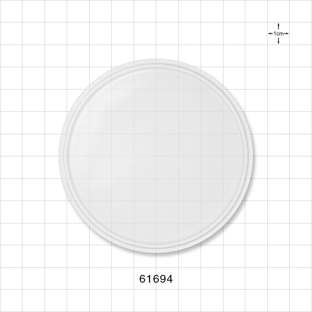 Sanitary Flange End Cap