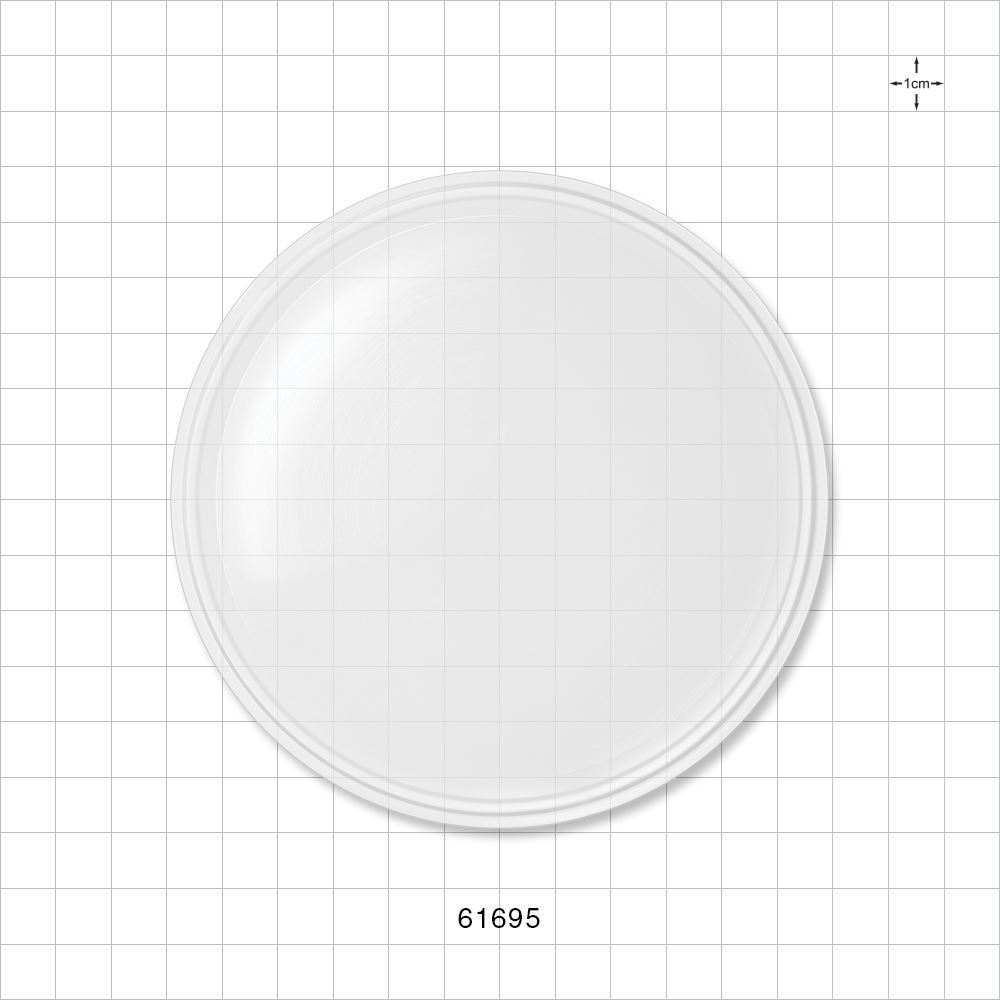 Sanitary Flange End Cap