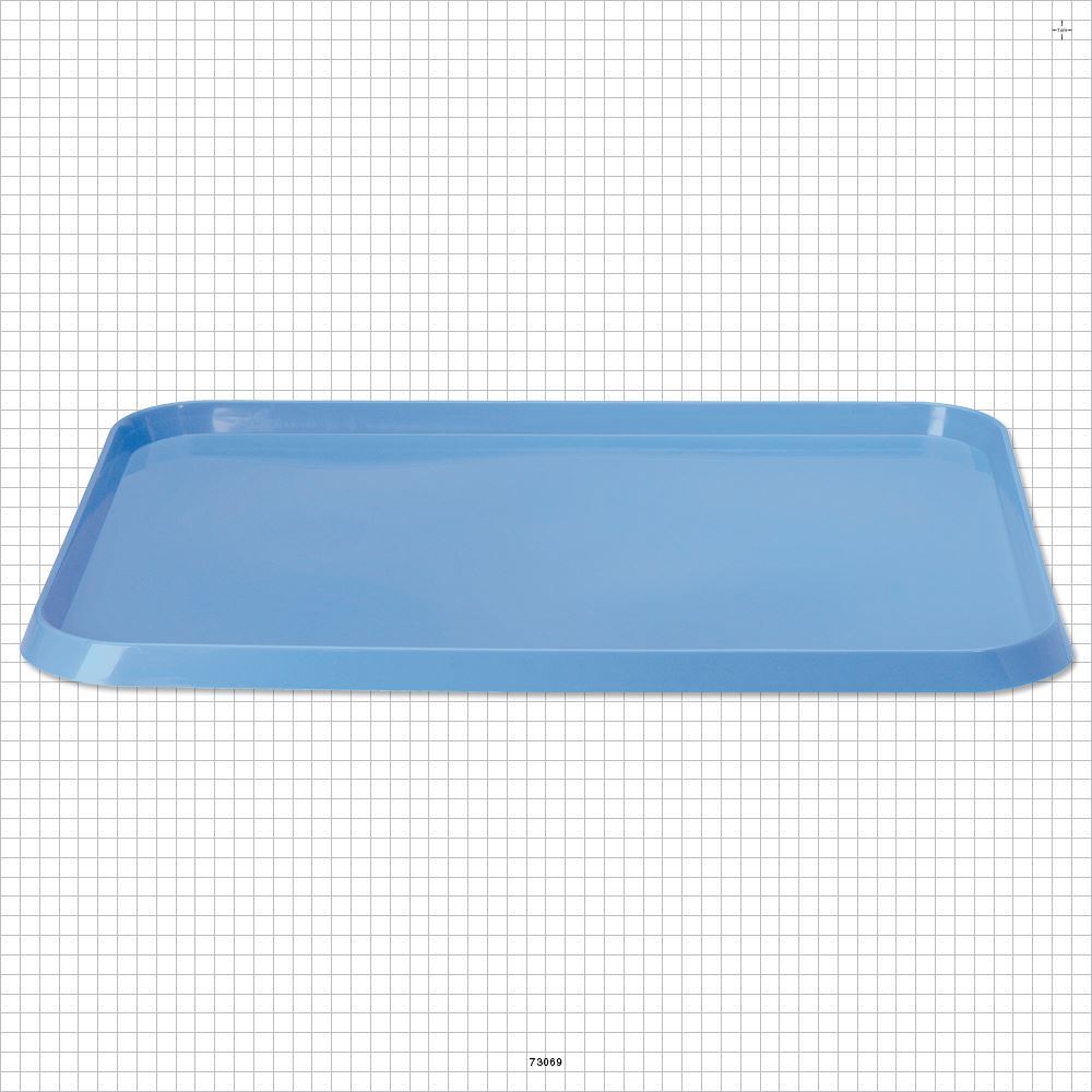 Large Mayo Tray, Blue